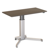 Elektrische Zit-Sta Tafel - Conset 501/19