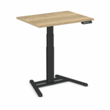 Elektrische zit-sta tafel - OneLeg - 1 poot - worktrainer.nl