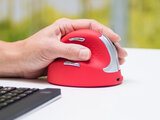 R-Go HE Sport Mouse | Ergonomische muis | Worktrainer.nl