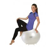 Sit 'n' gym sitball officeball active furniture officeball worktainer.nl worktrainer.com