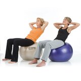 ABS Togu Powerball sitball officeball active meubliair officeball worktainer.nl worktrainer.com