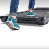 Lifespan walkdesk | Worktrainer.com