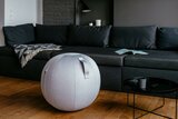 Vluv Leiv sitting ball Worktrainer.nl