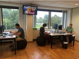 Vluv Veel zitbal sittingbal officeball officechairball Worktrainer.nl worktrainer.com