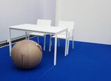 Vluv Veel zitbal sittingbal officeball officechairball Worktrainer.nl worktrainer.com