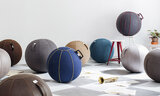 Vluv Velt ball chair office ball Worktrainer.com