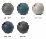 Kleuren Office Ball leer zitbal | Ergonomische balansbal | Fitnessbal | Worktrainer.nl