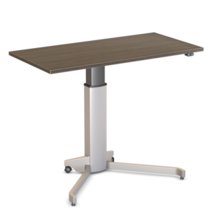 Elektrische Zit-Sta Tafel - Conset 501/19