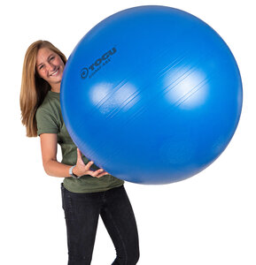 ABS Togu Powerball sitball officeball active meubliair officeball worktainer.nl worktrainer.com